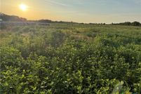 Homesite for sale in Falls County, Texas