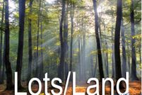 Undeveloped Land for sale in Goochland County, Virginia