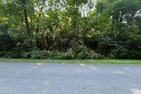 Undeveloped Land for sale in Frederick County, Virginia