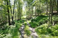 Undeveloped Land for sale in Windham County, Vermont