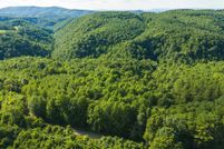 Undeveloped Land for sale in Floyd County, Virginia