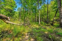 Undeveloped Land for sale in Brantley County, Georgia