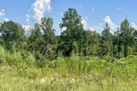 Timberland Property for sale in Jasper County, Mississippi