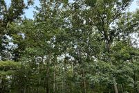 Land for sale in Otsego County, Michigan