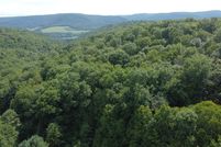 Land for sale in Potter County, Pennsylvania