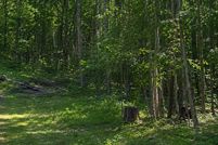 Farm and Ranch for sale in Morrison County, Minnesota