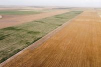 Timberland Property for sale in Stevens County, Kansas