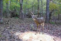 Land for sale in Fulton County, Arkansas