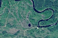 Undeveloped Land for sale in Brantley County, Georgia