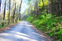 Land for sale in Susquehanna County, Pennsylvania