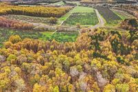 Land for sale in Leelanau County, Michigan