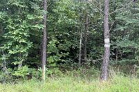Land for sale in Charlotte County, Virginia