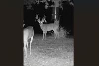 Farm and Ranch for sale in Seminole County, Oklahoma
