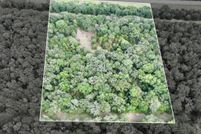 Land for sale in Anderson County, Texas