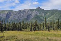 Land for sale in Matanuska-Susitna Borough, Alaska