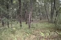 Land for sale in Washington County, Alabama