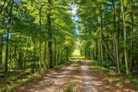 Land for sale in Clarke County, Alabama