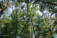 Land for sale in Tuscaloosa County, Alabama