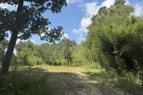 Undeveloped Land for sale in Washington County, Alabama