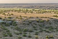 Undeveloped Land for sale in Oldham County, Texas