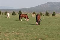 Recreational Property for sale in Santa Fe County, New Mexico