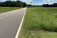 Undeveloped Land for sale in Dale County, Alabama