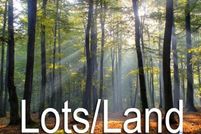 Undeveloped Land for sale in Sussex County, Virginia