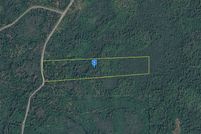 Land for sale in Taylor County, Florida
