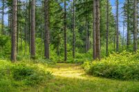 Undeveloped Land for sale in Clark County, Washington