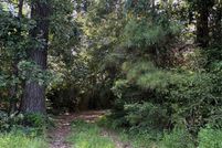 Undeveloped Land for sale in Liberty County, Texas