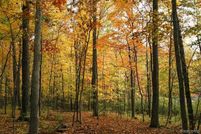Land for sale in Washtenaw County, Michigan
