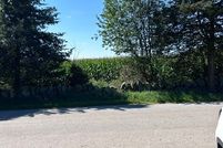 Land for sale in Windham County, Connecticut