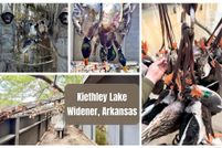 Undeveloped Land for sale in Saint Francis County, Arkansas