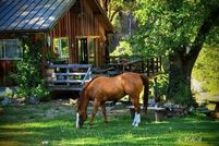 Land for sale in Trinity County, California
