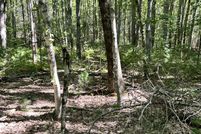 Undeveloped Land for sale in York County, Maine