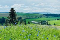 Undeveloped Land for sale in Spokane County, Washington