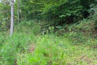 Undeveloped Land for sale in Clay County, West Virginia