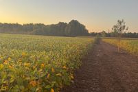 Farm and Ranch for sale in Benton County, Minnesota