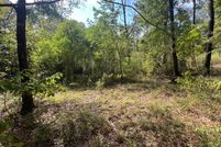 Land for sale in Montgomery County, Texas