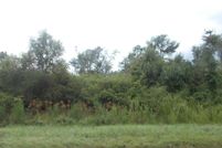 Undeveloped Land for sale in Atkinson County, Georgia