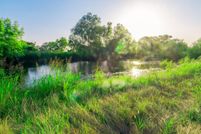 Land for sale in Ellis County, Texas