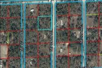 Undeveloped Land for sale in Levy County, Florida