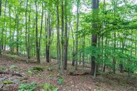 Land for sale in Tucker County, West Virginia
