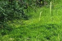 Undeveloped Land for sale in Blount County, Alabama