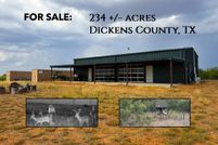 Undeveloped Land for sale in Dickens County, Texas