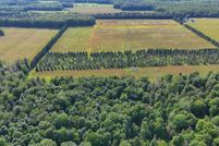 Undeveloped Land for sale in Alger County, Michigan