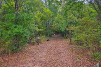 Undeveloped Land for sale in Nacogdoches County, Texas