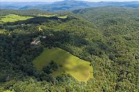 Undeveloped Land for sale in Floyd County, Virginia