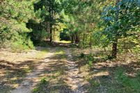 Undeveloped Land for sale in Manistee County, Michigan