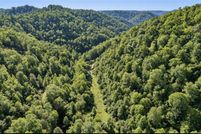 Undeveloped Land for sale in Martin County, Kentucky